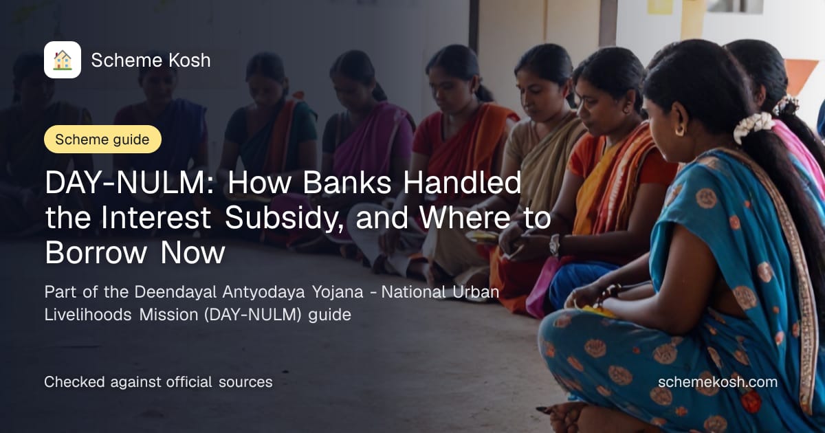 DAY-NULM: How Banks Handled the Interest Subsidy, and Where to Borrow Now