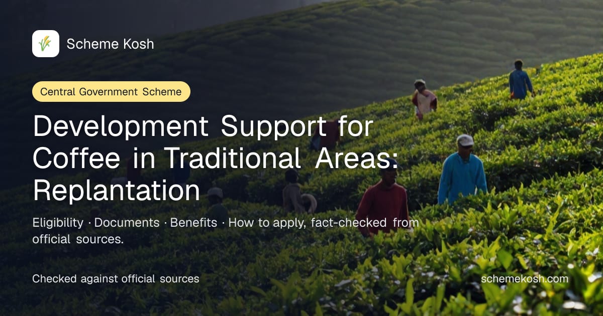 Development Support for Coffee in Traditional Areas: Replantation: 40% subsidy for general growers, up to 90% for SC/ST. Eligibility and how to apply