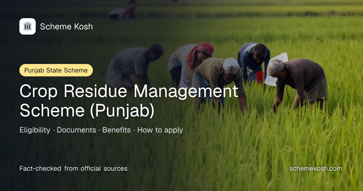 Crop Residue Management Scheme (Punjab) (Punjab): 50 per cent subsidy for individual farmers and 80 per cent for custom hiring centres on