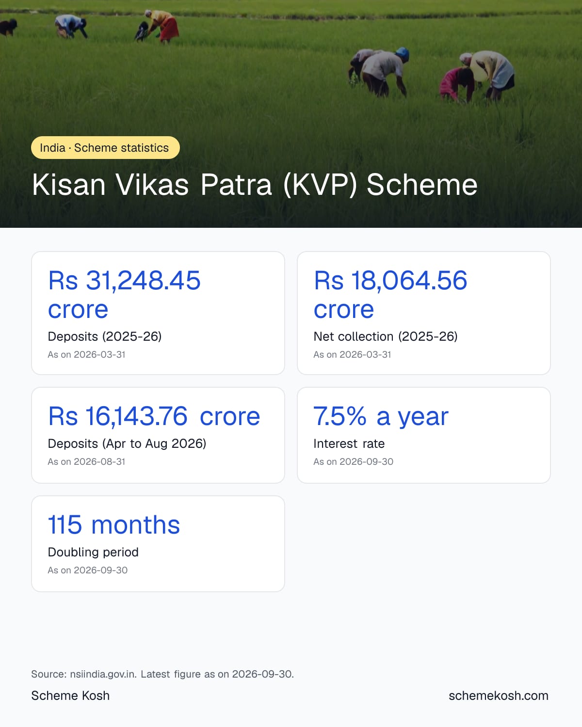 Kisan Vikas Patra (KVP) Scheme statistics infographic: Deposits (2025-26) Rs 31,248.45 crore
